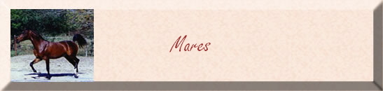 Mares
